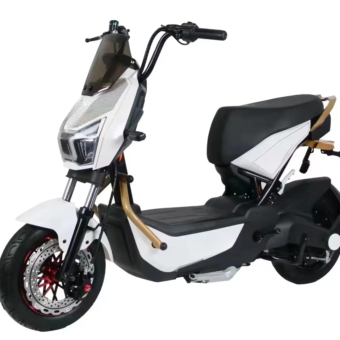 

SXLL New 800w powerful electric motorcycle, electric bicycle, high-speed durable electric bicycle