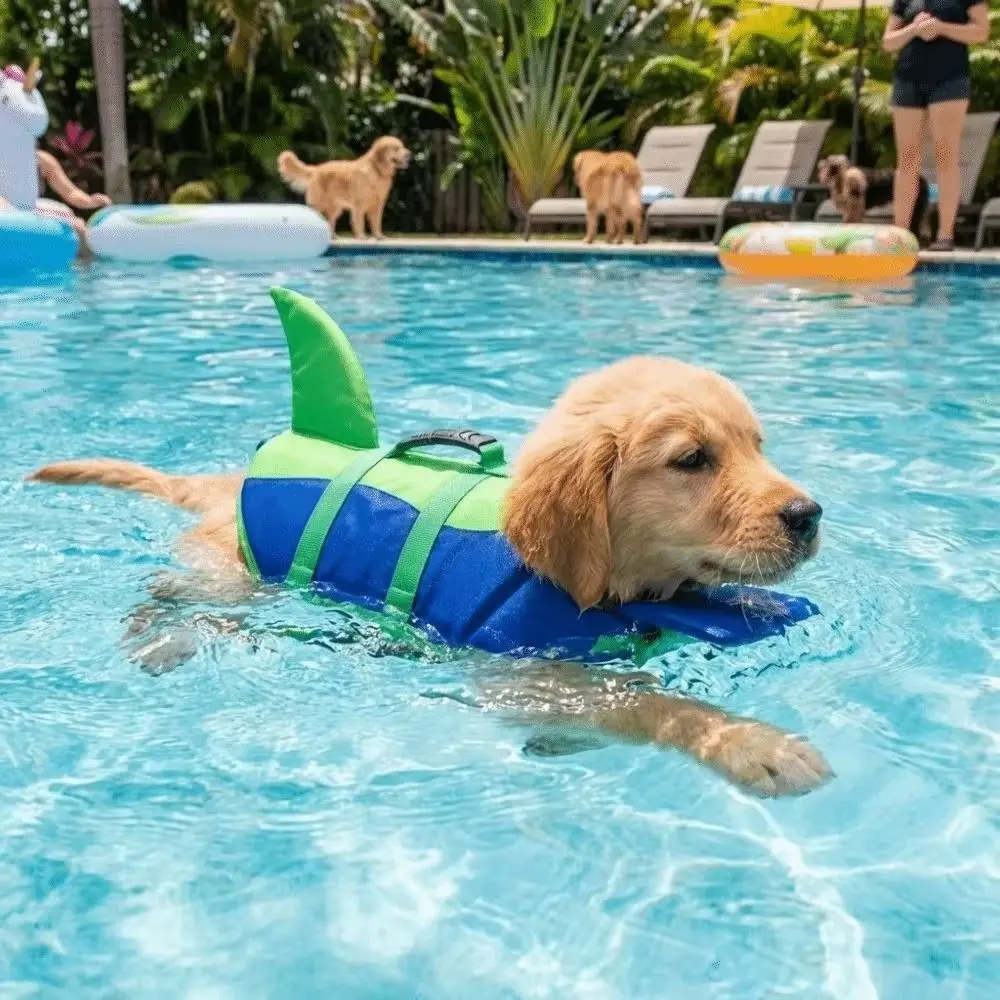 Hai-förmige Hunde-Schwimmweste, wasserdicht, atmungsaktiv, verstellbar, für Welpen, Sicherheitsweste für Strand und Schwimmen – Detail 8