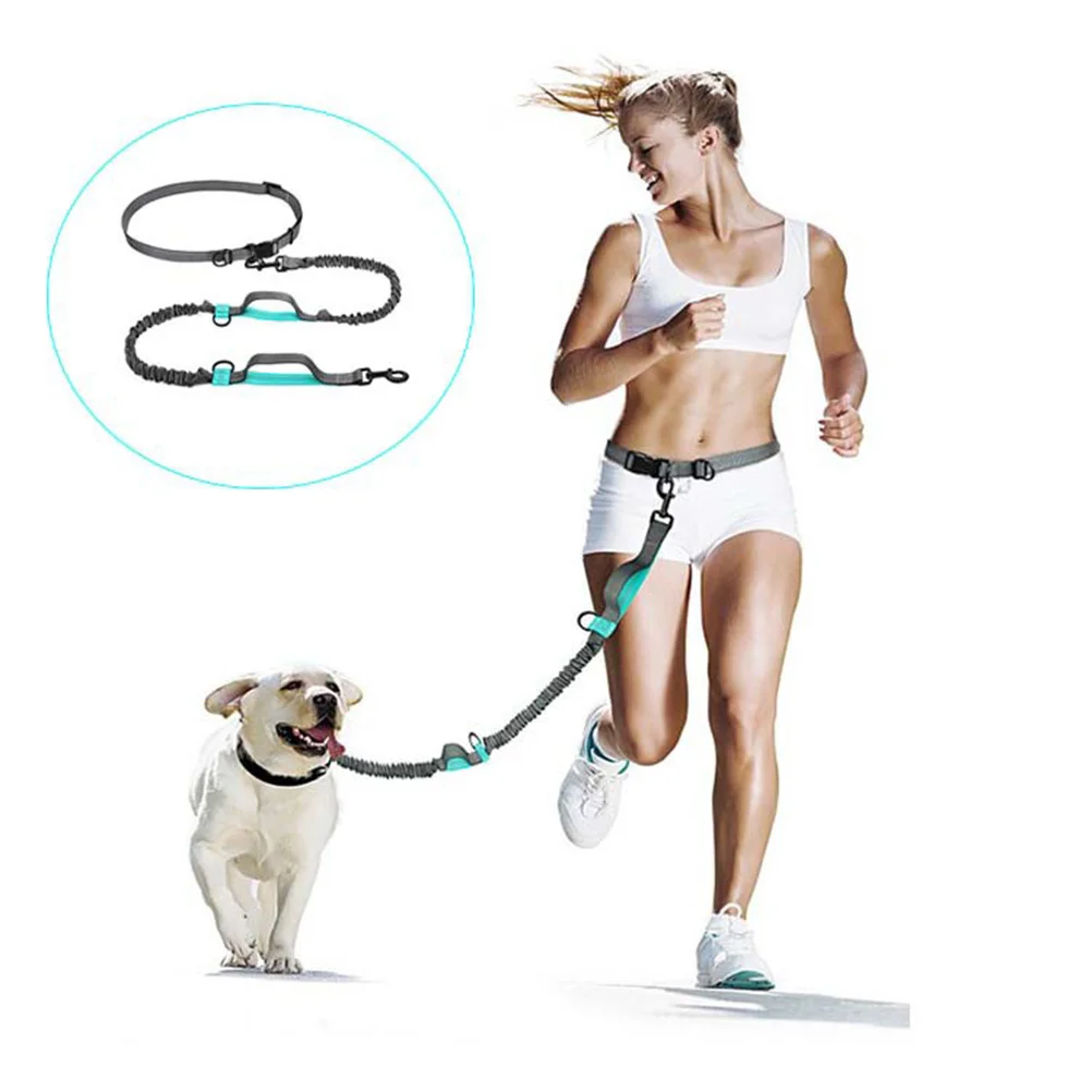 

Light Pet Supplies Traction Rope Nylon Handle Small Pet Pulling Rope Reflective Tape for Dog Running Outdoor