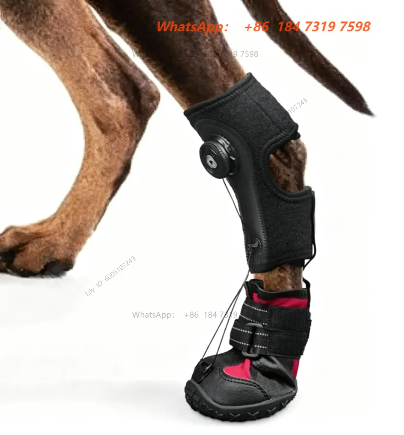 Drops Foot Brace For Dog All-Weather Paw Protection For Training