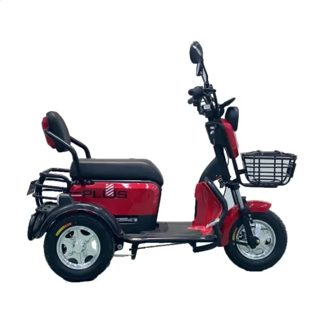China Road Approved Cheap 500W Small Electric Tricycle for Elderly