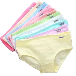 10PCS Women Underwear Set Sexy Female Underpants Cotton Panties for Women Sexy lingerie Plus Size Panties