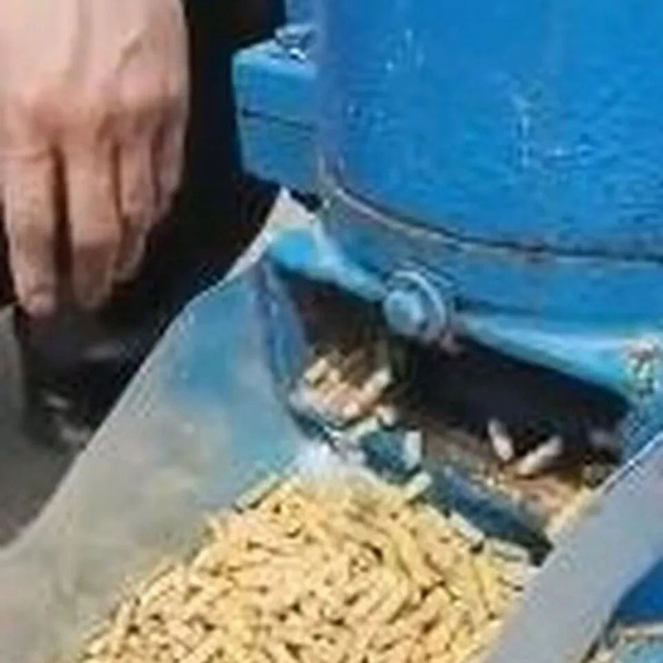 Electric Poultry Chicken Feeds Grass Pellet Making Machine Cattle Pelletizer Machine For Home Use Farm