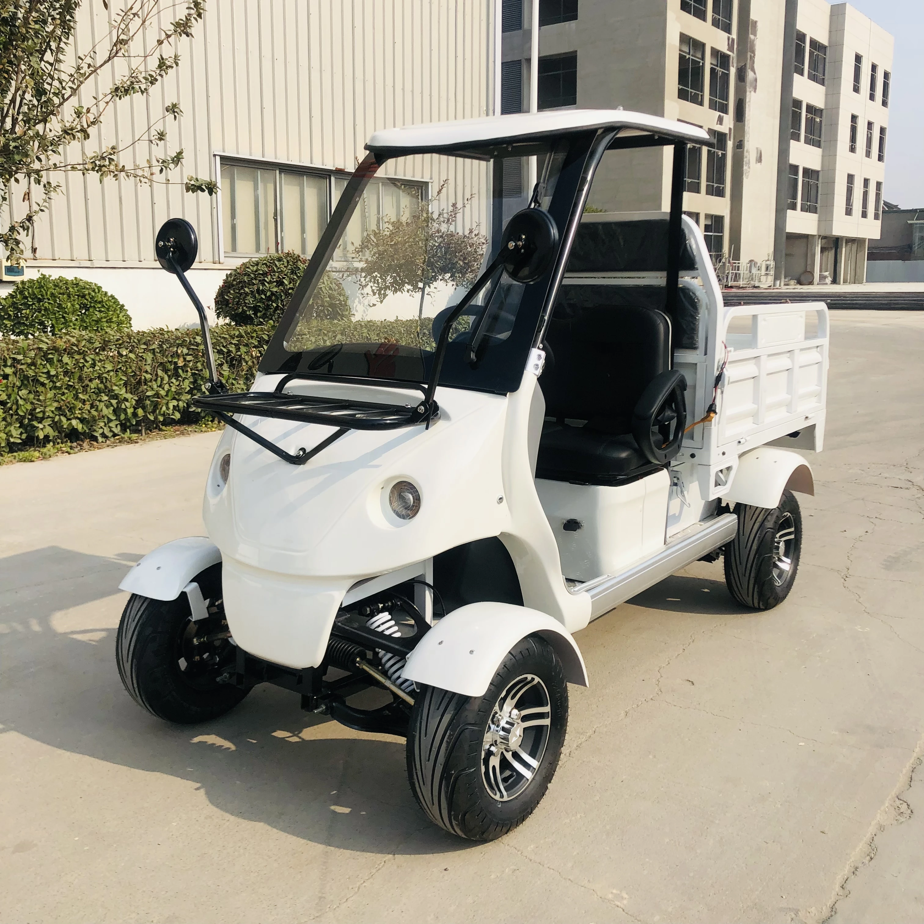 New Energy 2 Seater Electric Golf Cars Cargo Customized Motor Acid Battery/Lithium Battery