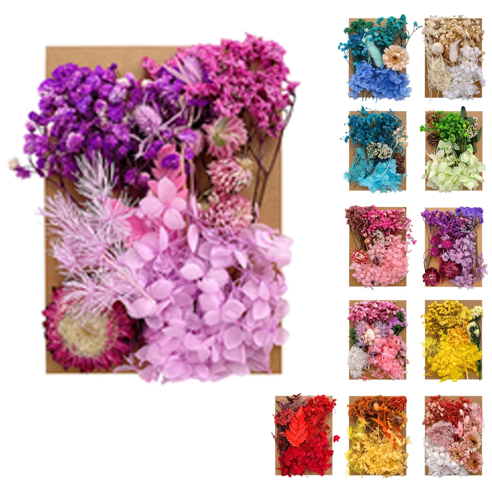 1 Bag Dried Flowers Pressed Dry Flower For DIY Phone Case Epoxy Resin Filling Pendant Jewelry Making Crafts Nail Art Decor