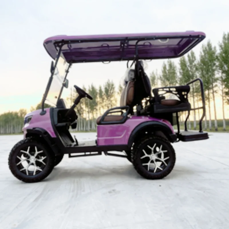 2026 Electric Golf Cart 48V 60V 72V Golf Buggy Carts For Golf Course And Resort PP Injection Molding Lining Structure Materials