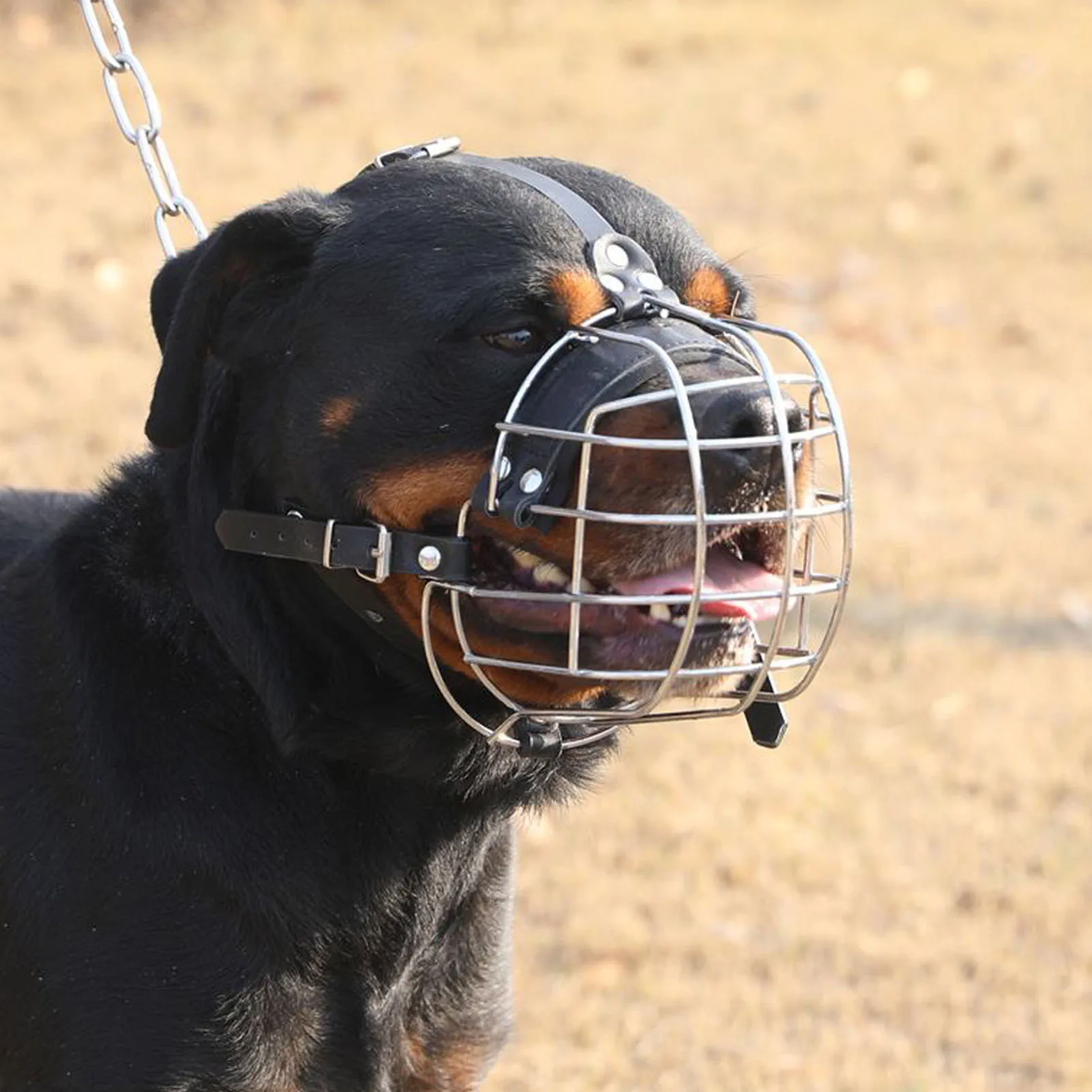 Thumbnail 2 - #40 Dog Muzzles Comparison Guide