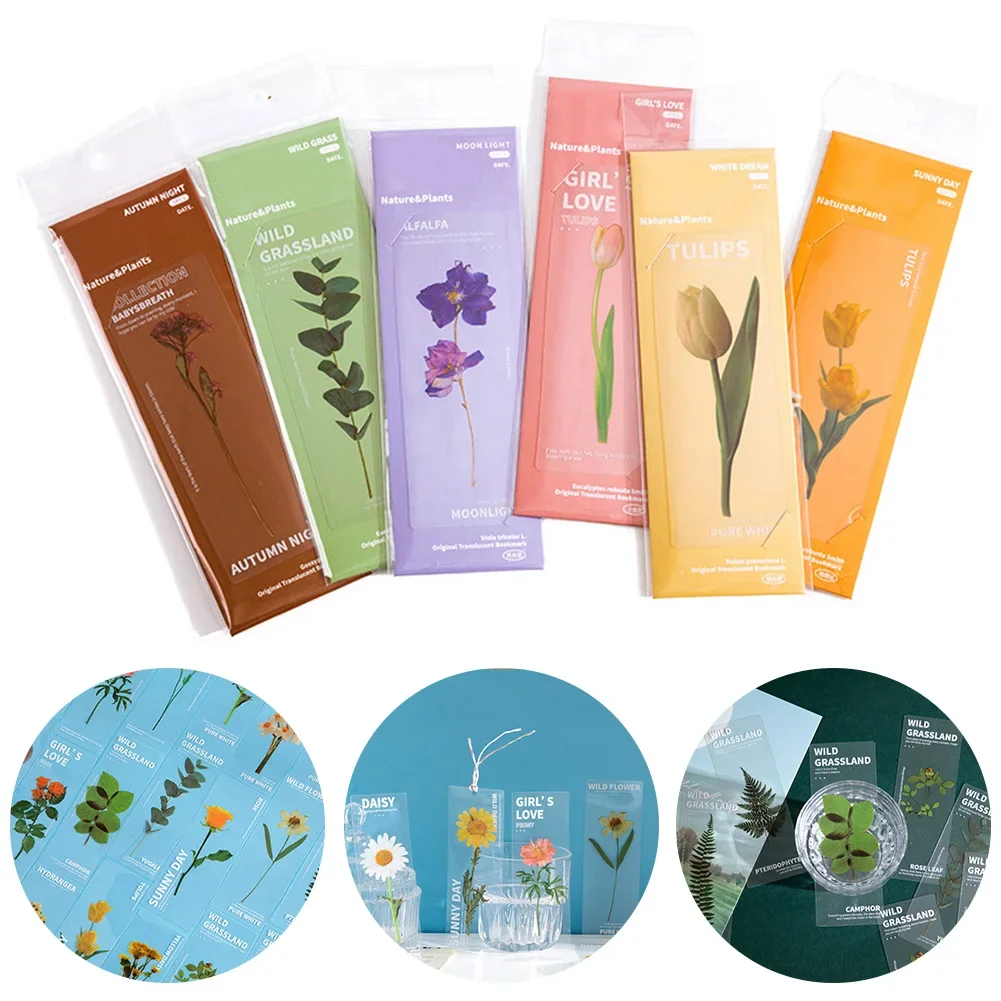 Reading Bookmark 5PCS/Pack Beautiful Crafts Elegant Fashionable Flower Leaves Literary PET Translucent Brand New
