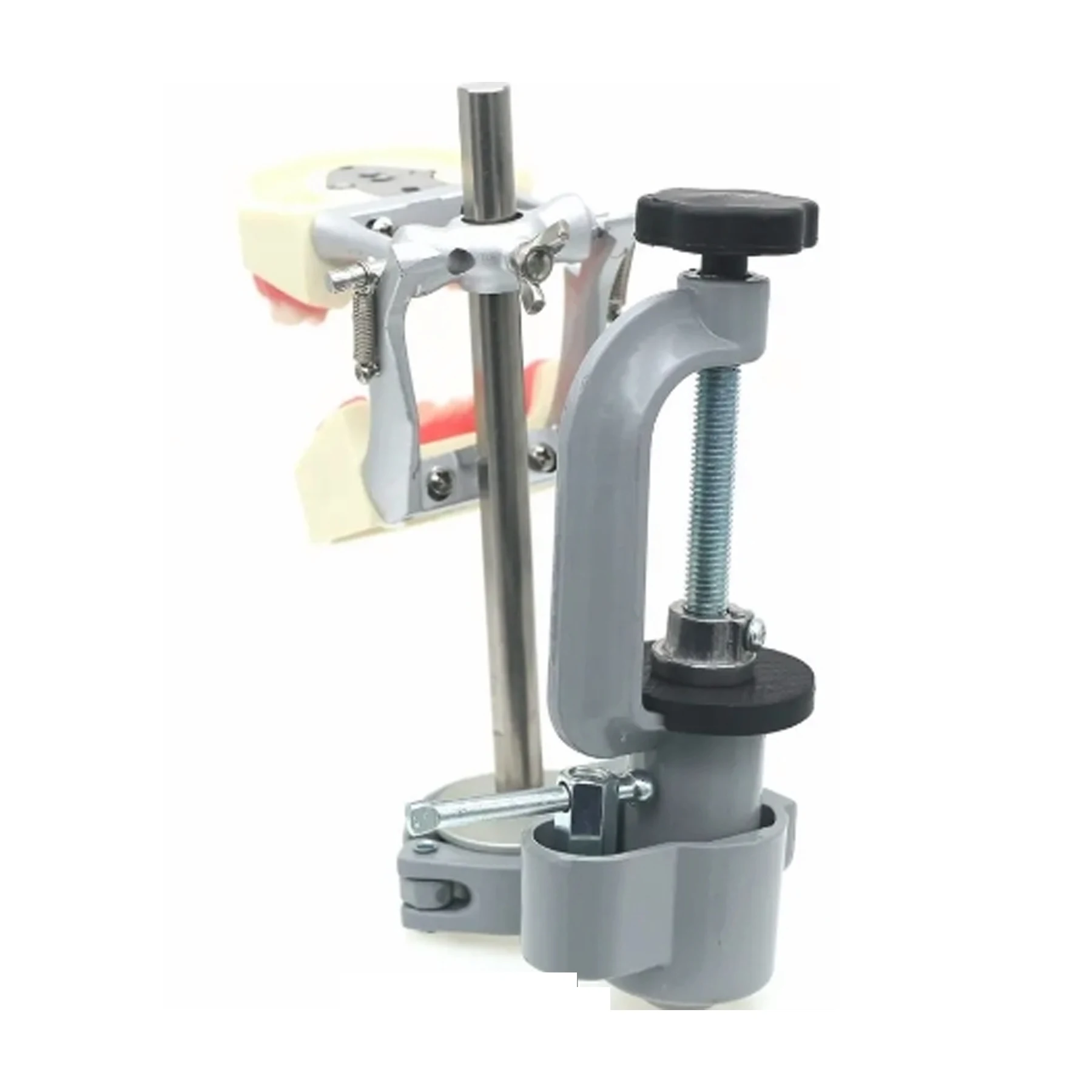 

Fit Typodont/Dentoform Dental Model Mounting Pole