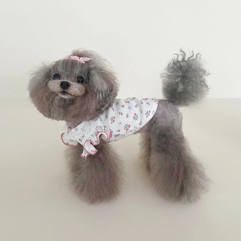 

Spring Puppy Dog Clothing Pure Cotton Elasticity Lace Neck Cherry Flower Print Hoodies For Small Medium Dog Poodle Pet Clothes