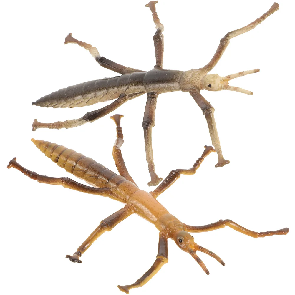 2 Pcs Stick Insect Model Toy Models Toys for Education Plastic Insects Fake Child Vivid Simulated