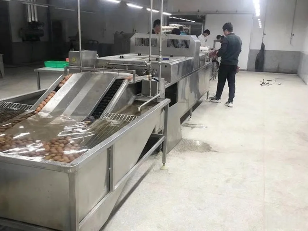 Afbeelding 3: Commerciële eierschaalborstelmachine, eiermodderwasser, eierwasmachine, reinigingsmachine te koop