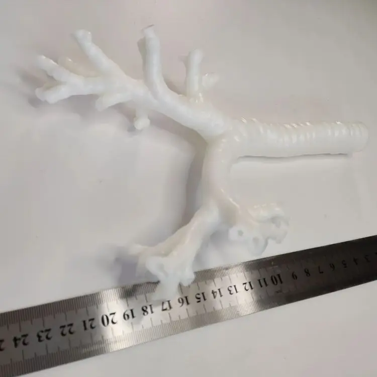 

Bronchoscope simulation training module model