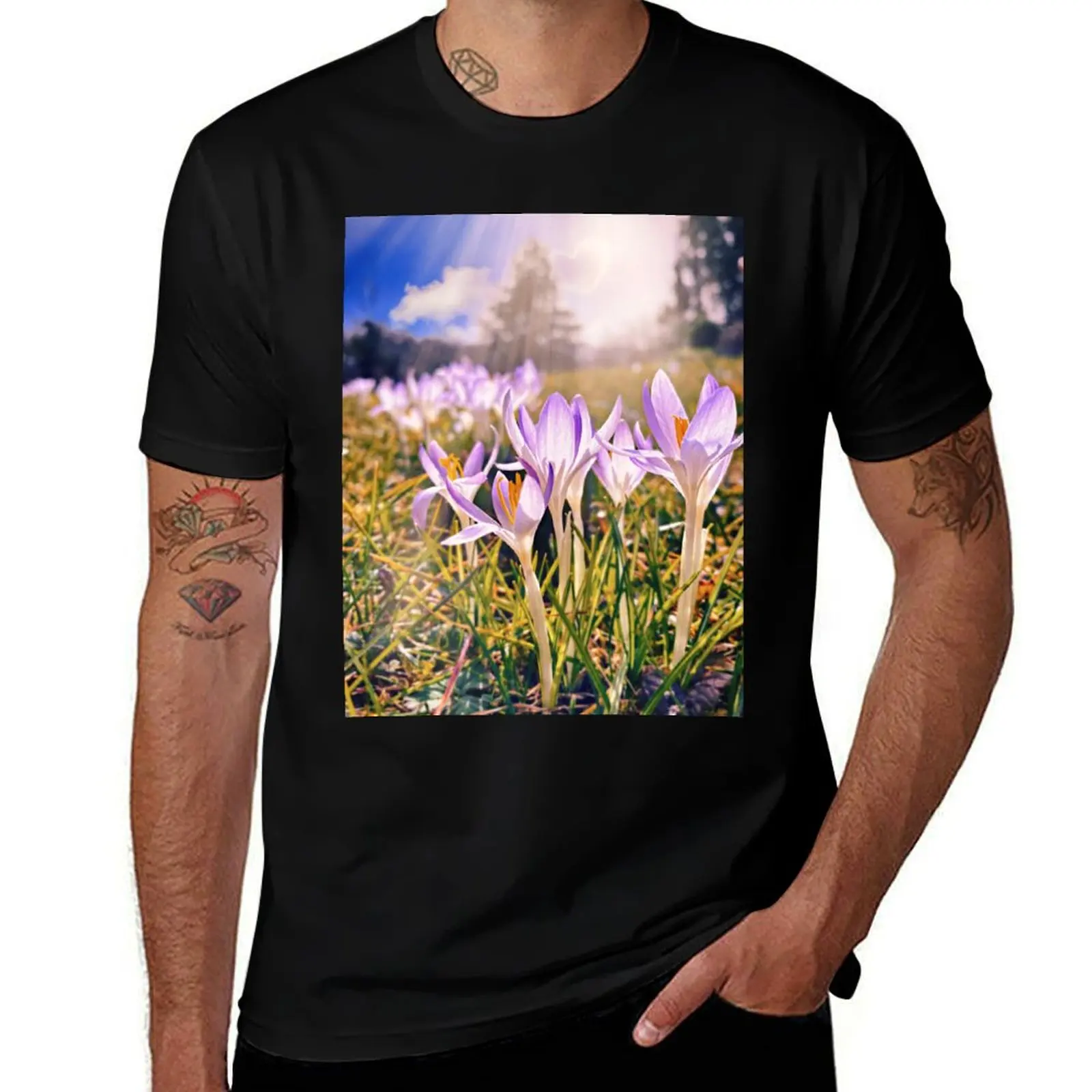 

Crocuses on the mountain T-Shirt t shirts for man cotton funny t shirts for man slim fit man t shirts for men T-Shirt