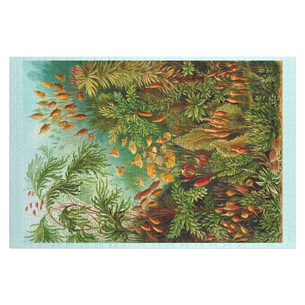 Mosses di schmidt Haeckel-bella illustrazione Vintage Jigsaw Puzzle legno adulti Puzzle giocattolo personalizzato