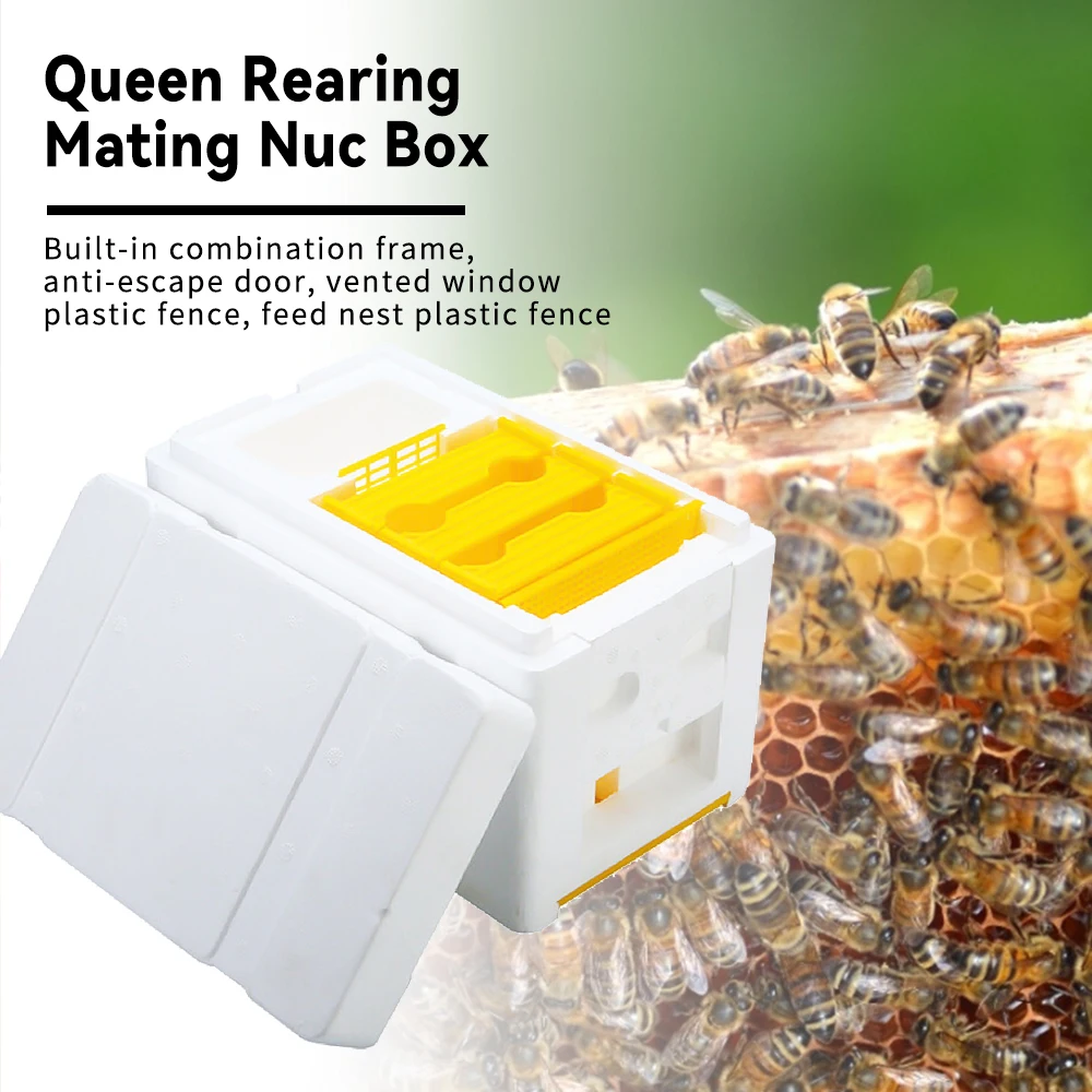 Queen Bee Rearing Mating Beehive Beekeeping Tools Foam Beehives Nuc Harvest Pollination BeesHive Box Beekeeper Suppliers