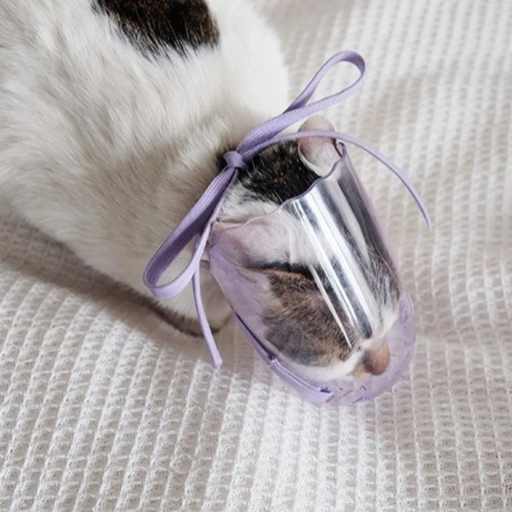 Adjustable Cat Muzzle Mask Breathable Anti-bite Kitten Mouth Cover Clear Hollow-Carved Design Pet Grooming Mask Lick Stop
