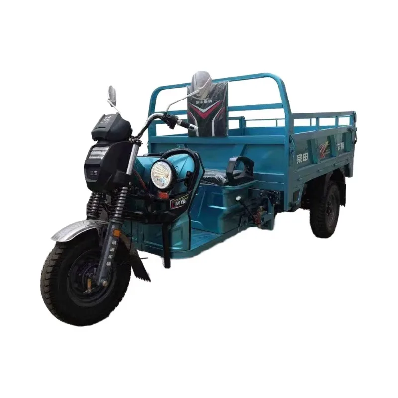 

3 Wheel Motorcycle for Cargo Adult in China Electric Tricycles Triciclo Electrico Para Adultos