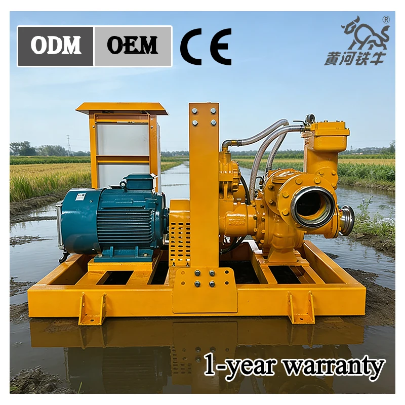 High Efficiency 6 Inch High Pressure Electric Motor Pump for Large Scale Irrigation & Industrial Use.