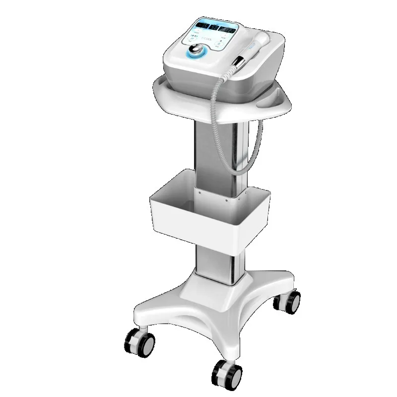 Portable D Cool Skin Rejuvenation Wrinkle Removal Face Lifting Skin Tightening Anti Puffiness Cooling Heating EMS Beauty Device