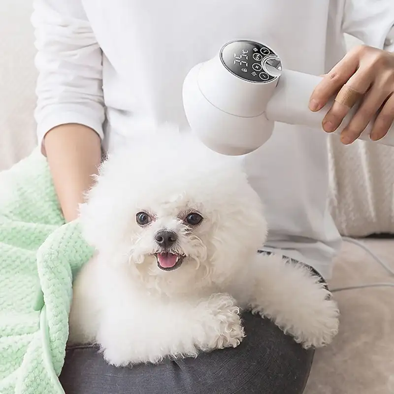 

Smart Dog Hair Dryer 2 in 1 Pet Cat Hair Blowing Combing Negative Oxygen Ion Low Noise LED Touch Control Temperature Display