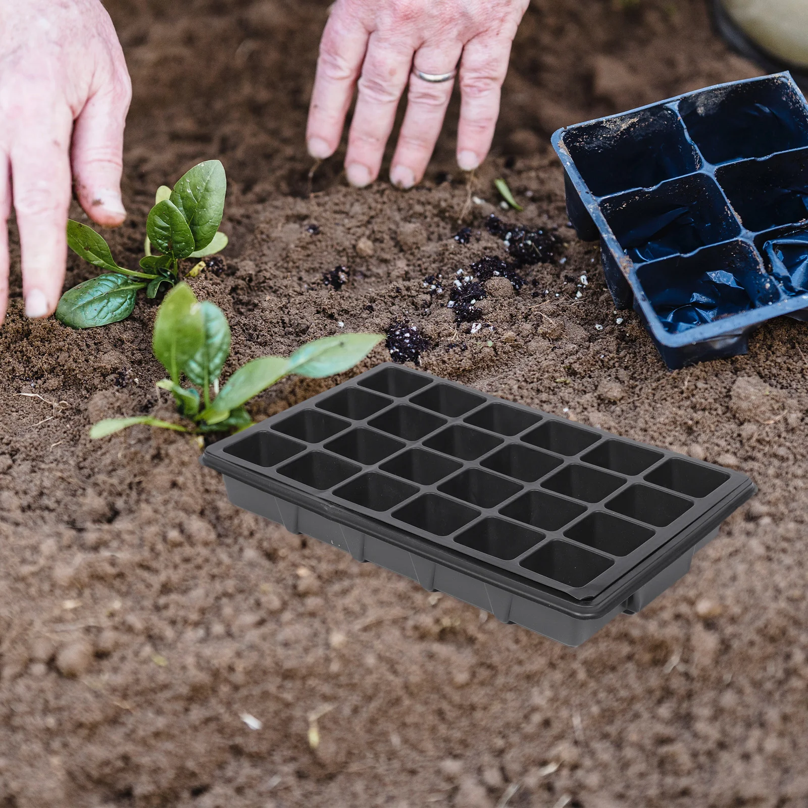 2 Pcs 24-Hole Seedling Tray Starter Plant Thicken Germination Case Boxes Nursery Vegetable Planting Plastic Garden Pot