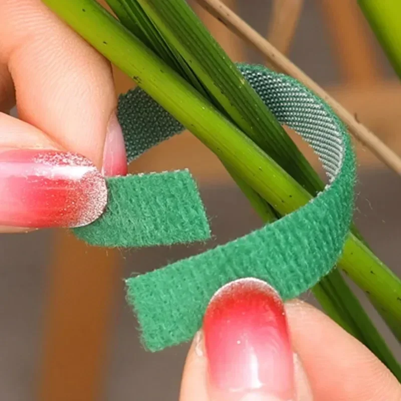 100/2m Self Adhesive Plant Nylon Bandage Green Adjustable Plants Cable Tie Hook Loop Support Garden Reusable Fastener Tape Strip