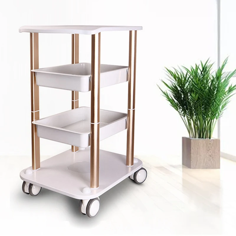 Living Room Side Table Stand Layer Small Mobile Rolling Cart Multi-functional Rack for Beauty Instruments Salon Furniture