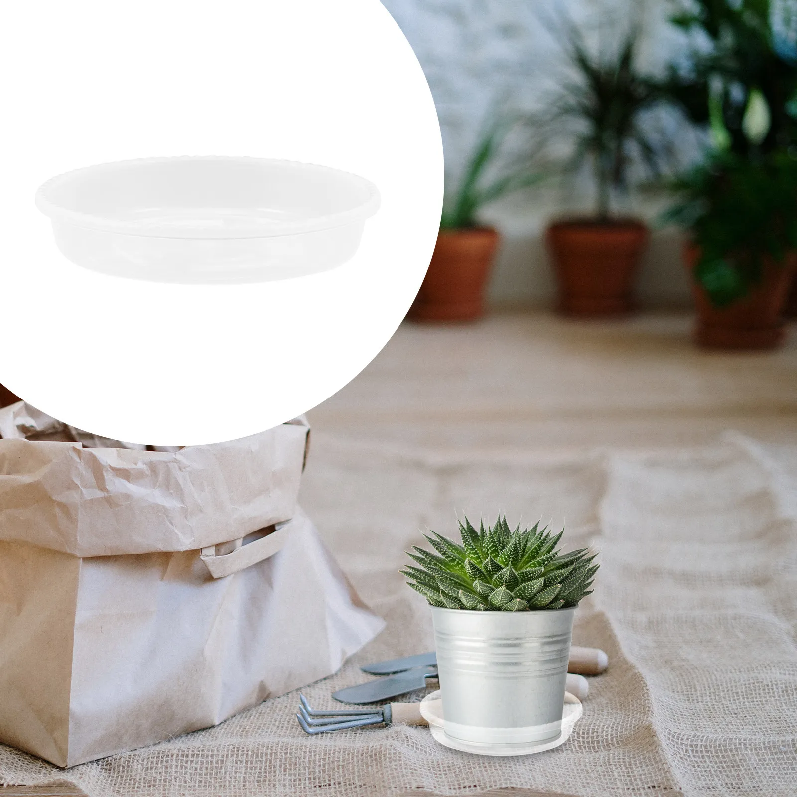 

30Pcs Round Plant Pot Trays Plastic Flowerpot Water Trays Easy Clean Non-Slip Fade Resistant for Home Garden Balcony Decoration