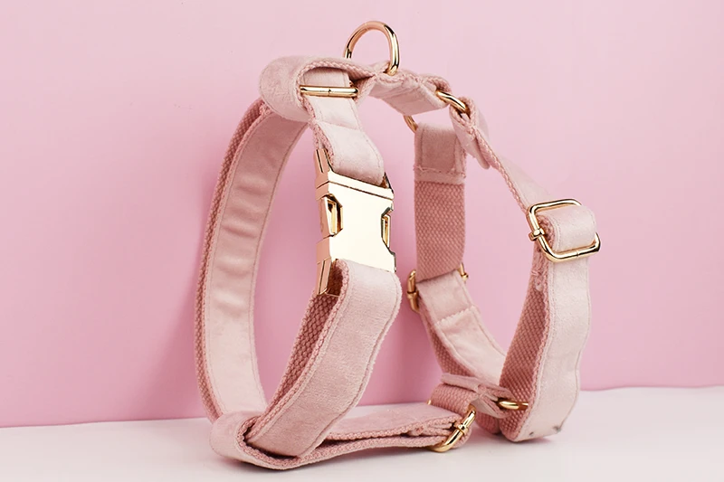 Hellrosa Samt-Hundehalsband und Leinen-Set für Hunde, individuell graviertes Namensschild, Haustierbedarf, Hundeleine, Velvet36 – Detail 4