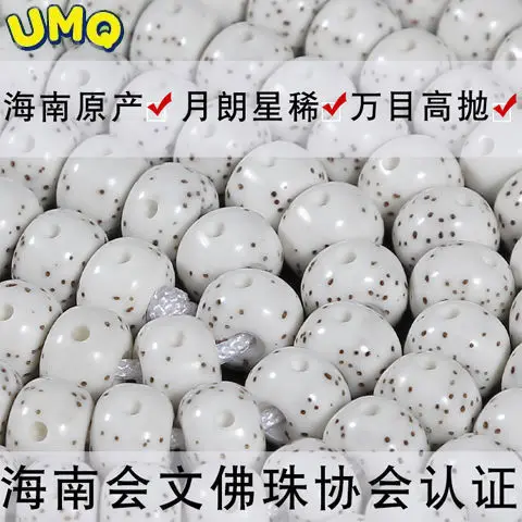 the Original Seed of Hainan Xingyue Bodhi 108 Buddha Beads in the First Month Bucket for Men and Women/