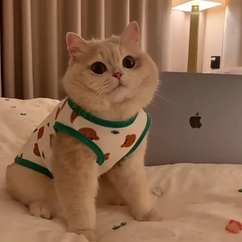 

Pet Vest Spring Summer Cartoon Reduce Floating Fur Airy Soft Attire Kitten Puppy Wear British American Shorthair Blue Ragdoll