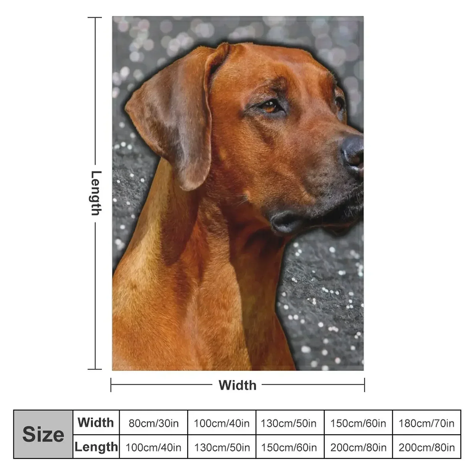 Rhodesian ridgeback domineering face Throw Blanket Flannel Beach Large Weighted Vintage Blankets