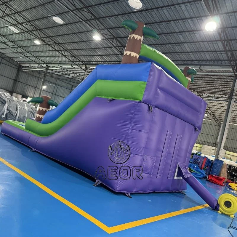 Commercial PVC Inflatable Water Slide Outdoor Backyard Adult Kids Play Dry Wet Inflatable Slide With Pool