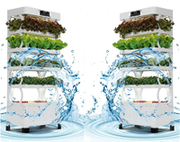 LED Indoor Garden Decorative Hydroponic Portable Vegetable Home Gardens Herb Grow System 24W With Grow Lights