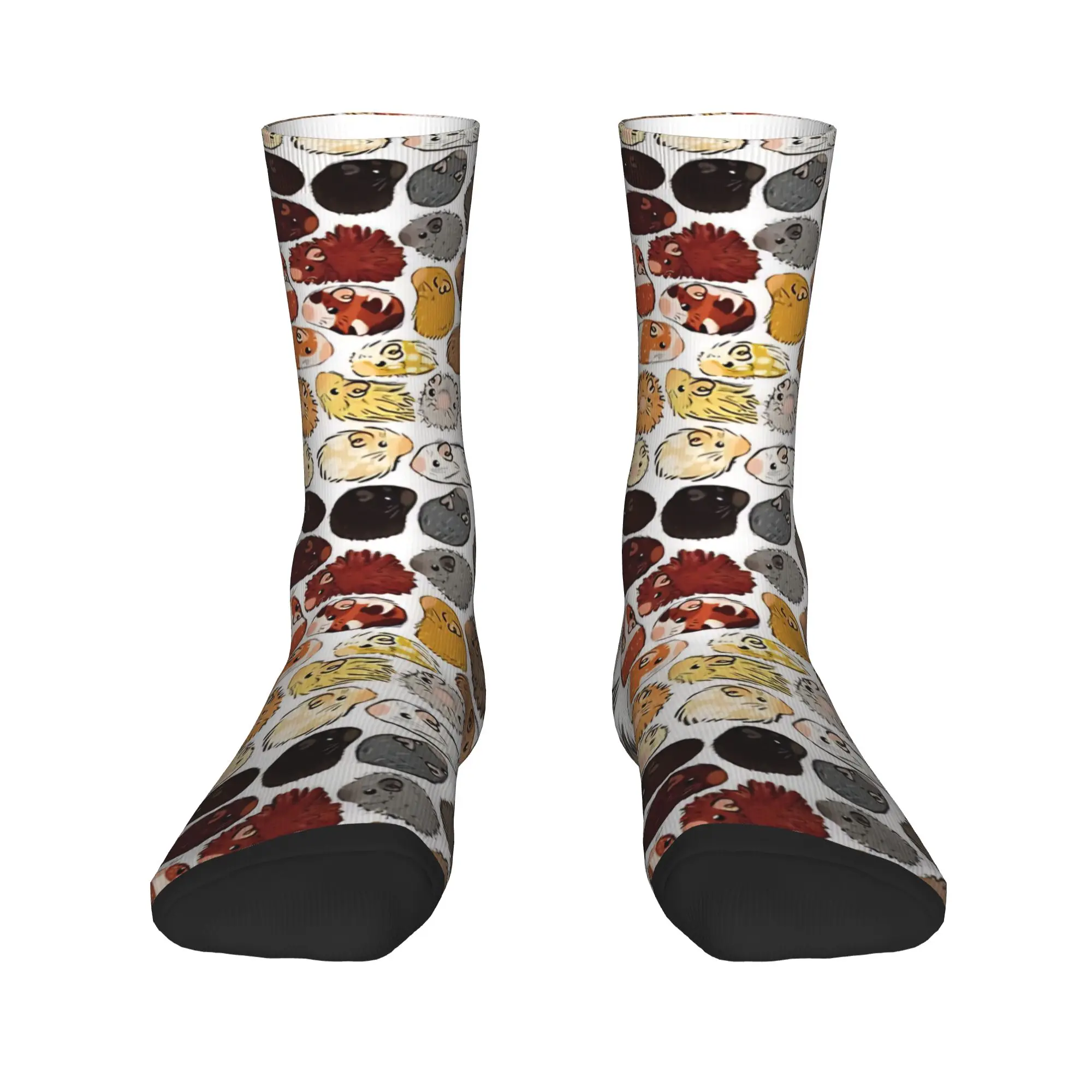 Guinea Pig Gradient Stockings  Pattern Modern Socks Spring Anti Bacterial Socks Adults Men Running Soft Socks