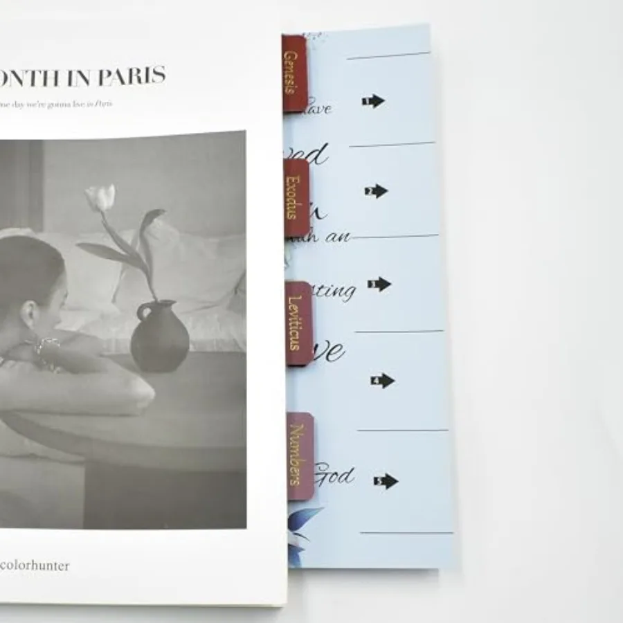 Bible Study tabs Boho Bible tabs tabs for Bible Chapters tabs for annotating Bible Bible Stickers Page Markers she Reads Truth