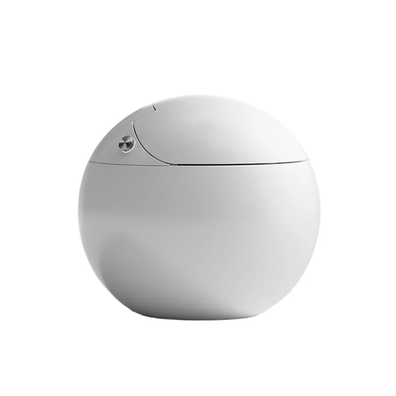Fully Automatic Intelligent Smart Toilet Egg Shape Design Remote Control Self-Cleaning Electric Heated Seat Smart Toilets