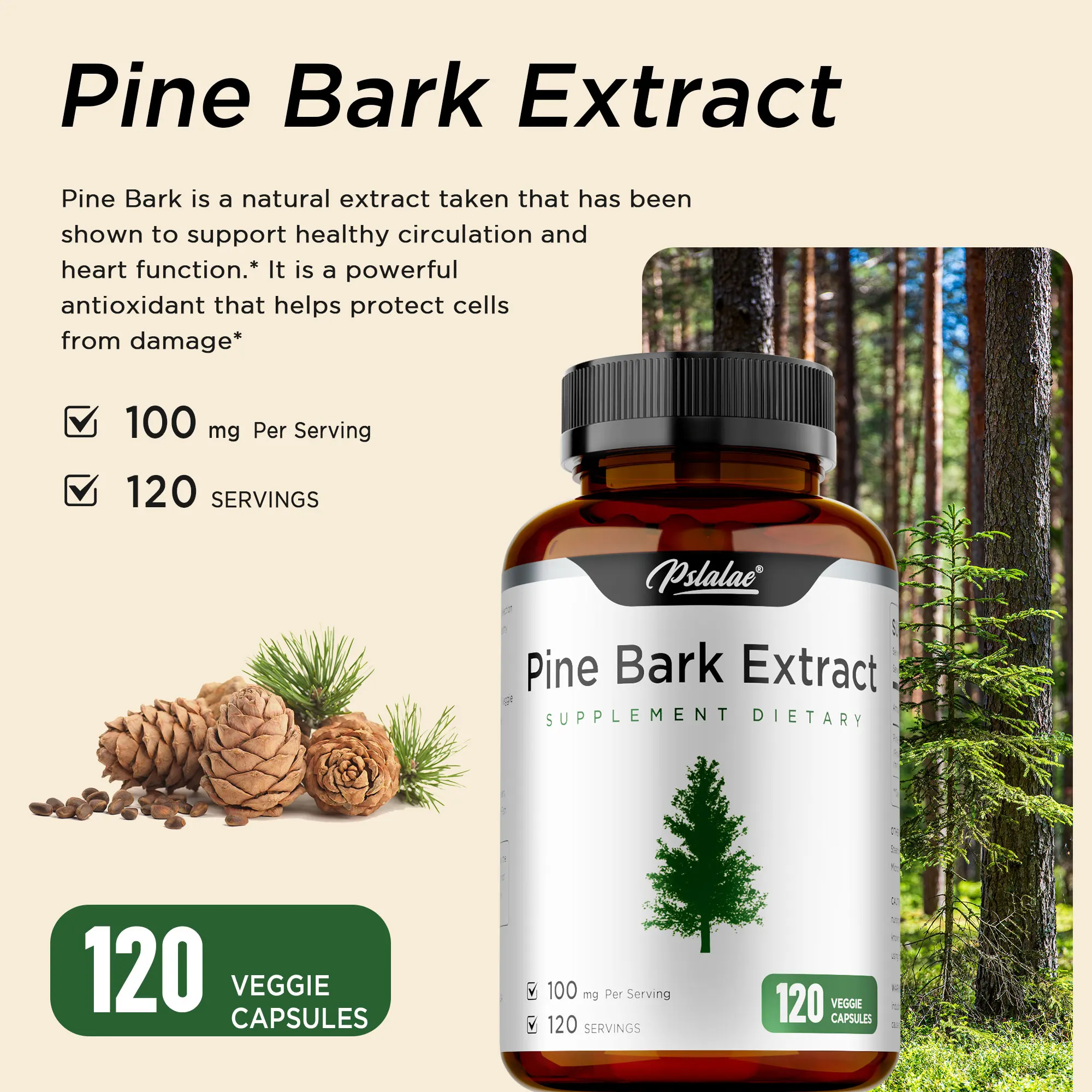 

French Maritime Pine Bark Extract - Reduces Anxiety & Stress, Blood Circulation, Promotes Hair and Skin Health, Enhance Immune