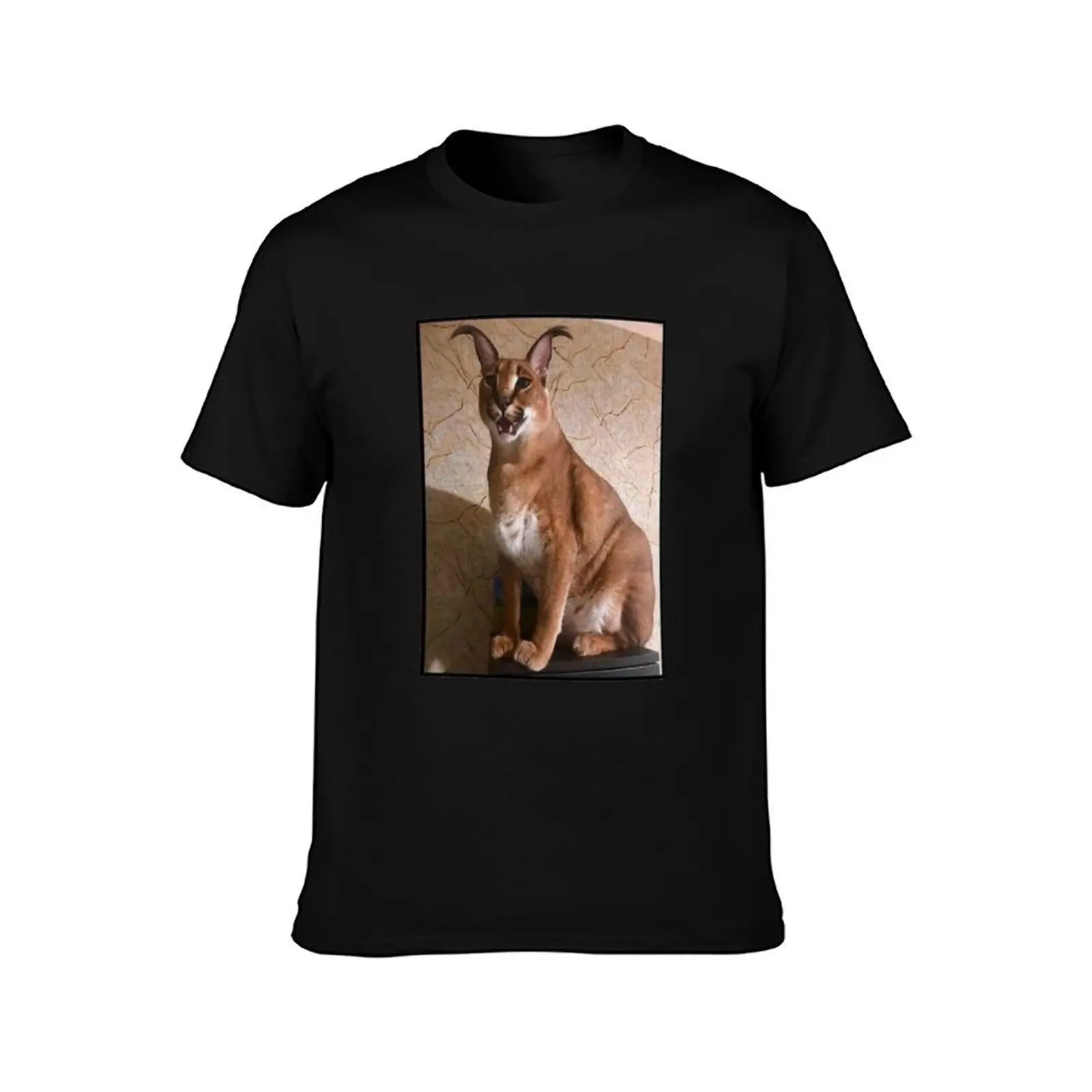 funny big floppa cool cat meme funny cat T-Shirt Summer Casual Cotton Tee Oversized Streetwear Tops Vintage Graphic Print