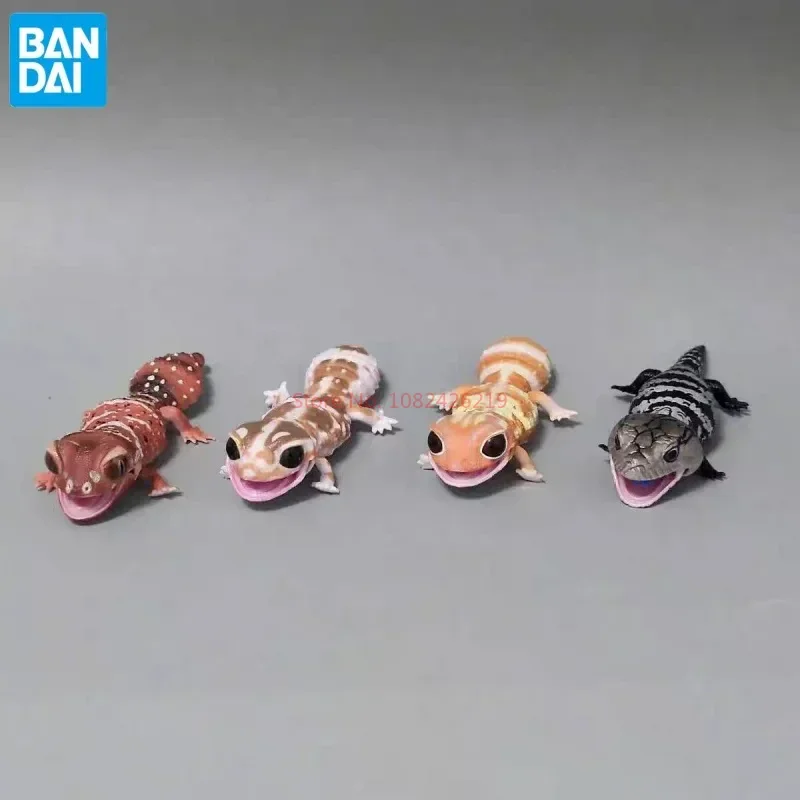 Original Bandai Gashapon Big Biological Map Gecko Lizard Blue-tongued Skink Simulation Movable Animal Action Figure Model Toys