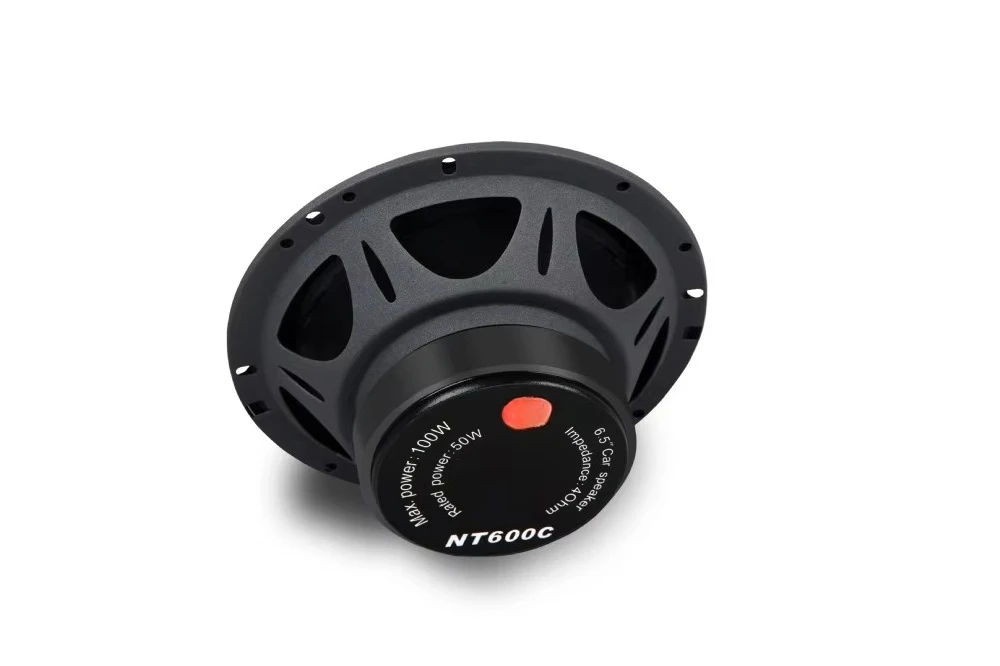 HiVi Hi-Fi Speaker NT600 6.5 Inch Car Audio Subwoofer Dj Speaker