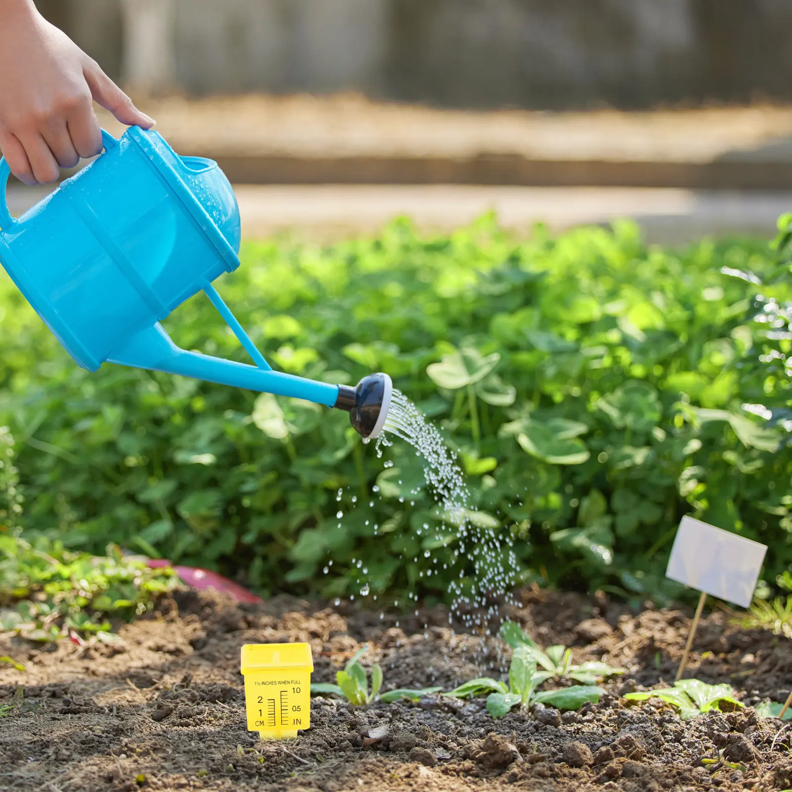 9pcs Outdoor Rain Gauges 1.5-I - Gardening Yard Tools ulasan dan harga