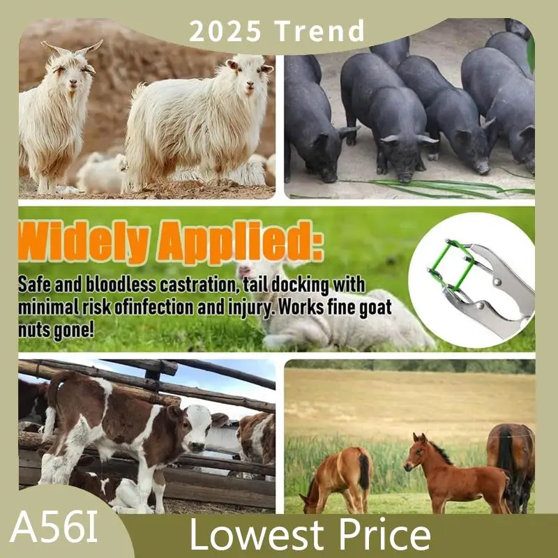 

A56I Top Goat Banding Kit, Banding Snap Clamps With 150 Pieces 2 Size Rings, Ring Installation Tool For Livestock Farm