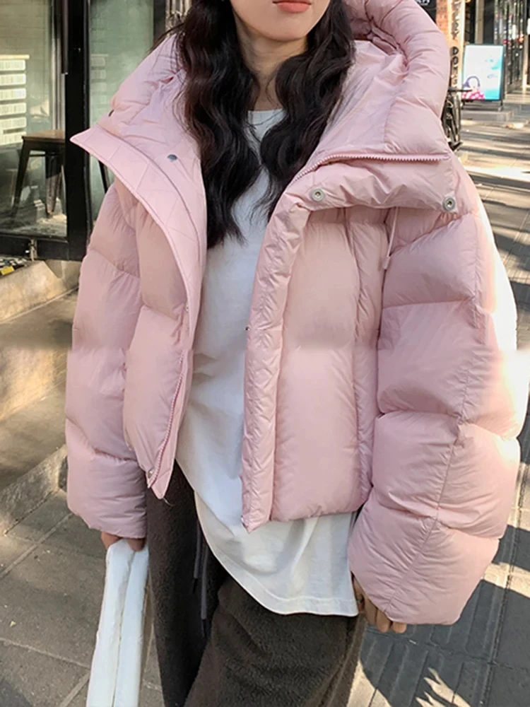 Aotvotee Winter Coat Women Parkas Hooded Cropped Thicken Warm Casual Loose Jacket Korean Fall Winter Fashion Down Cotton Parkas