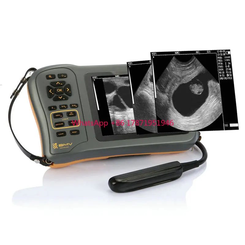 

BMV Farmscan L60 pig cattle cow bovine equine veterinary equipment for large animals veterinary