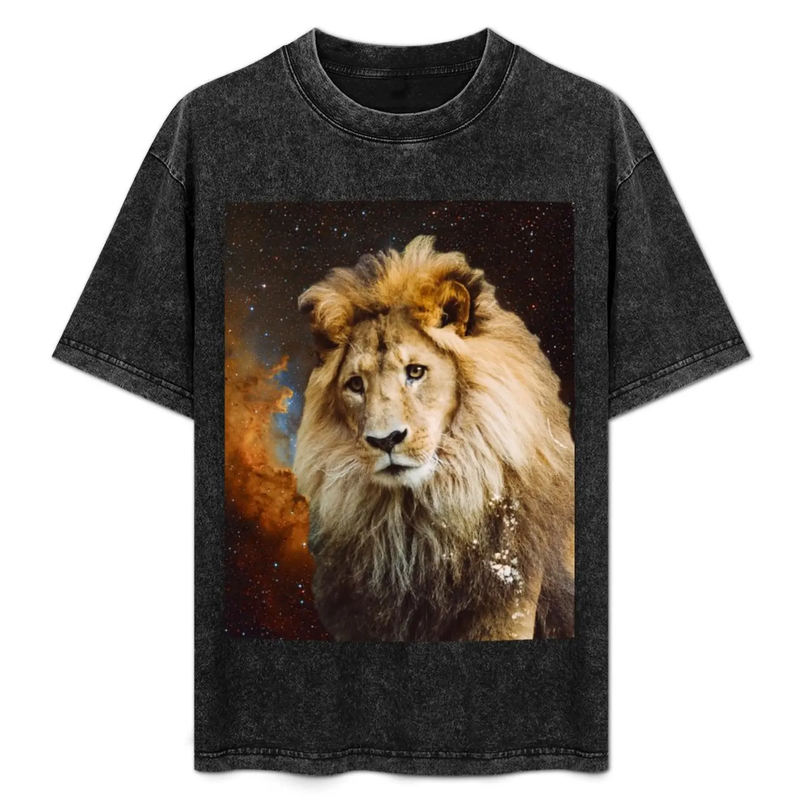 

Lion and Galaxy T-Shirt Running Gym Short Sleeve Sports Tee