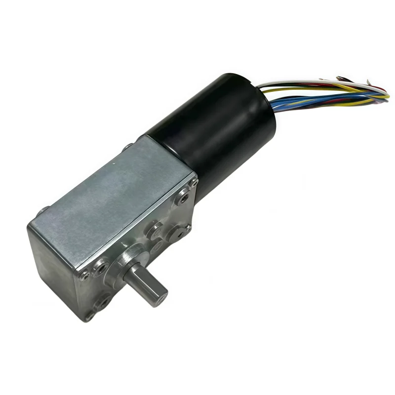 5840-3650 DC Brushless Turbine Worm Gear Reducer Motor, 12V/24V Self-locking Brake Belt, Adjustable Power Supply, Power Cord
