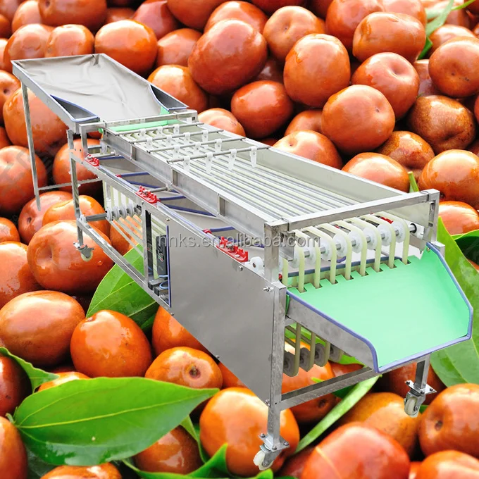 Orbital Type Fruit Automatic Sorting Machine Blueberry Strawberry Raspberry Size Grading Machine No Harm for Fruit Skin - Detail 1