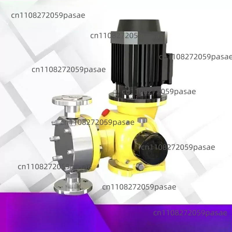 GM Diaphragm Metering Pumps for Adjustable Acid and Alkali-Resistant Water Treatment